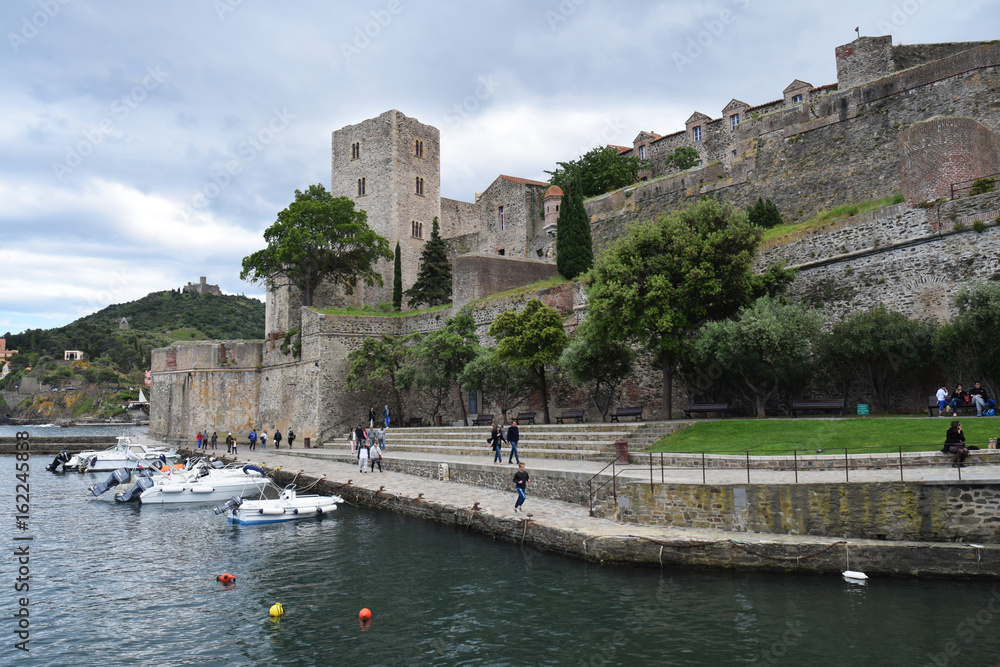  Collioure, pyrénées orientales, roussillon, occitanie, France : le château royal et le port