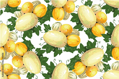 Melon vector. Summer fruits. Seamless pattern with melon photo