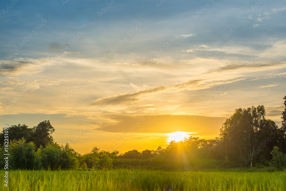 Obraz premium Beautiful Sunset on terraced rice field.