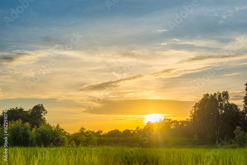 Beautiful Sunset on terraced rice field.