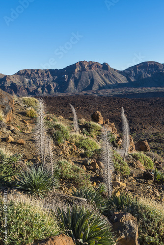 Landscape El Teide