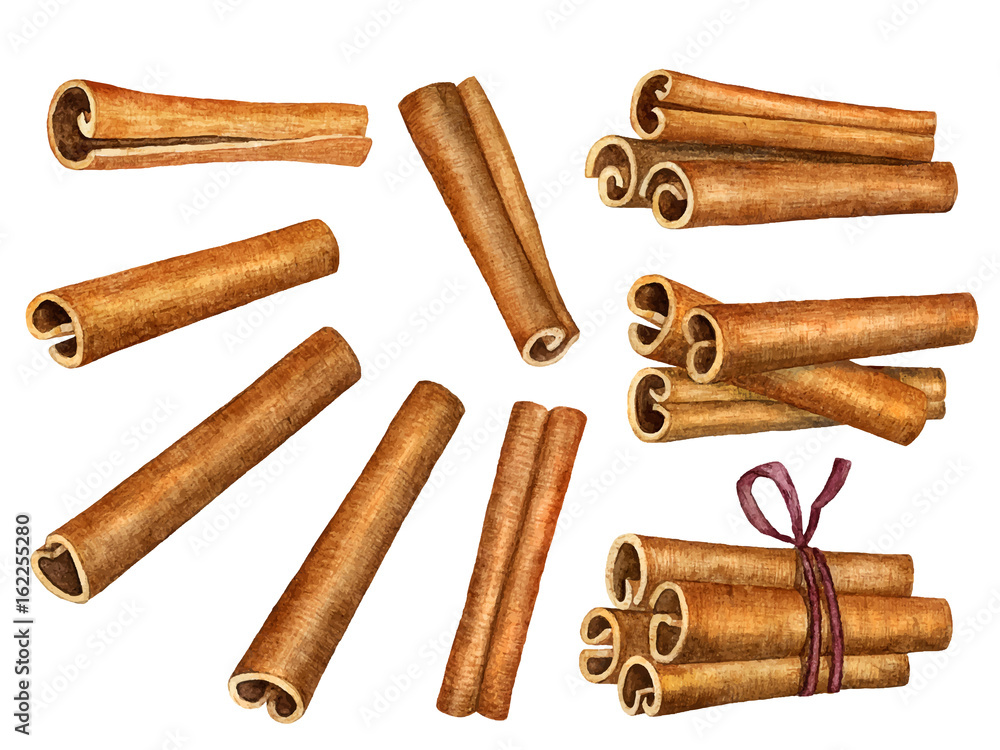Cinnamon sticks isolated on white background, top view Cinnamon sticks isolated on white background, top view