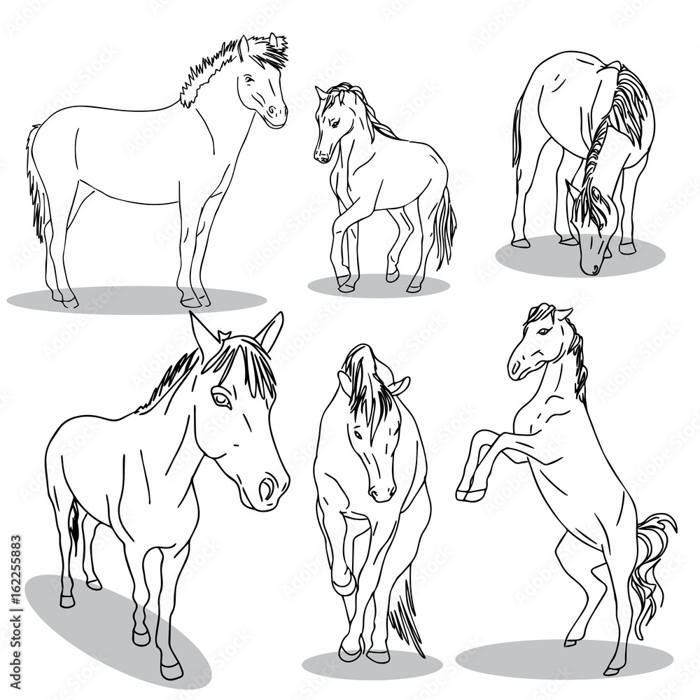 abstract graphic illustration of horse on a white background abstract graphic illustration of horse on a white background