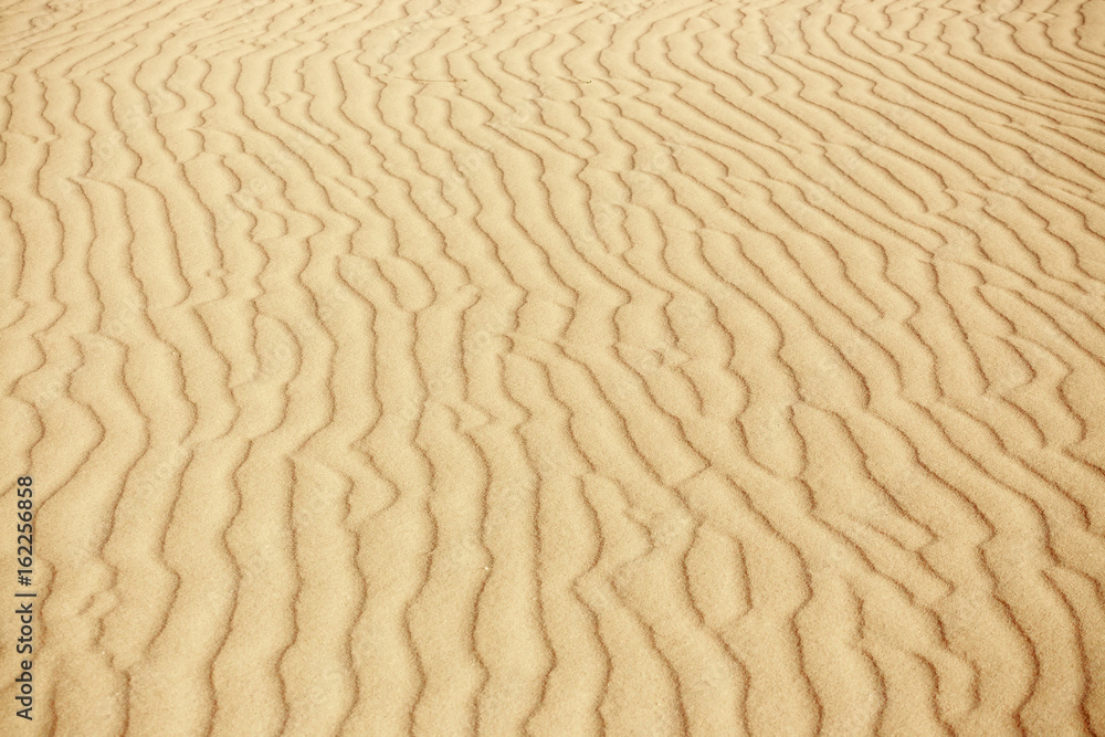 Lines in the sand of a beach, close up Lines in the sand of a beach, close up