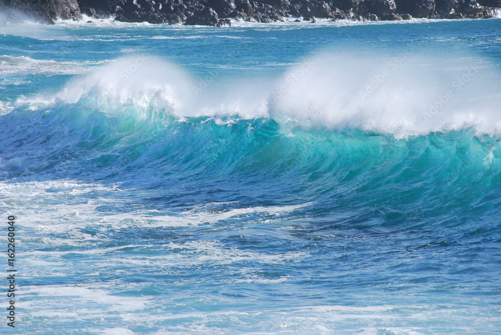 Fototapeta premium hawaiianische Welle 2