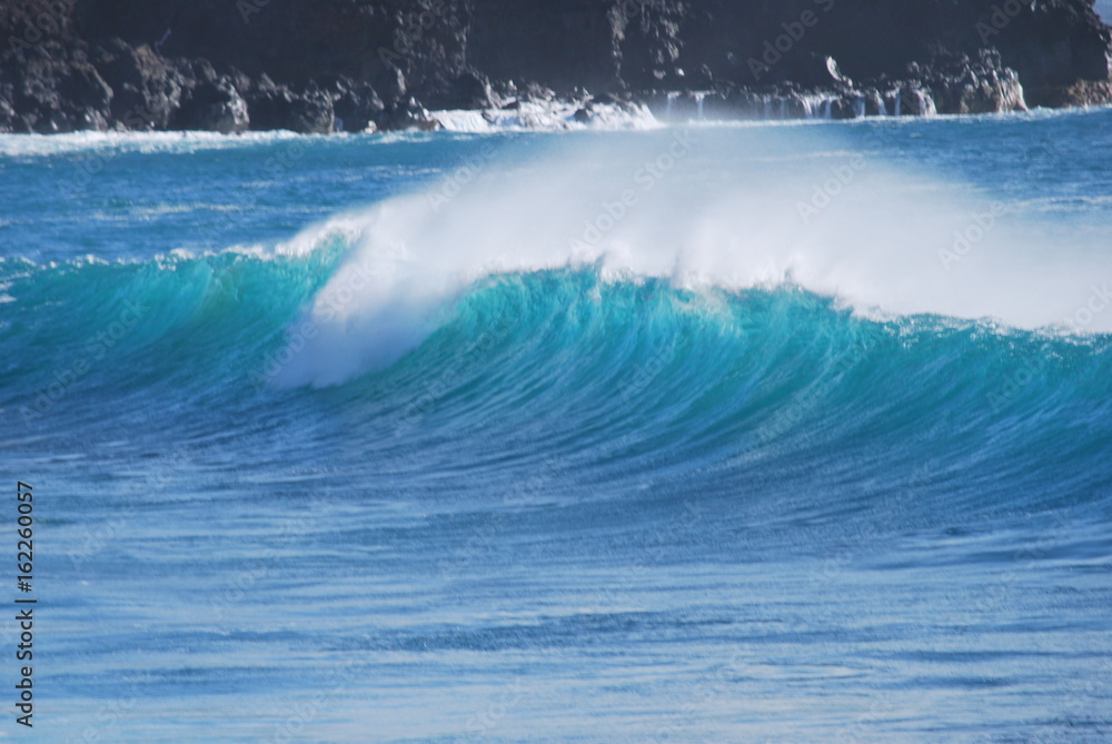 Fototapeta premium hawaiianische Welle 5