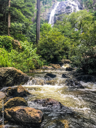 Waterfall with Scabies in Rainforest Area