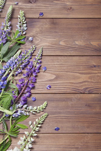 Brown wooden background with lupines