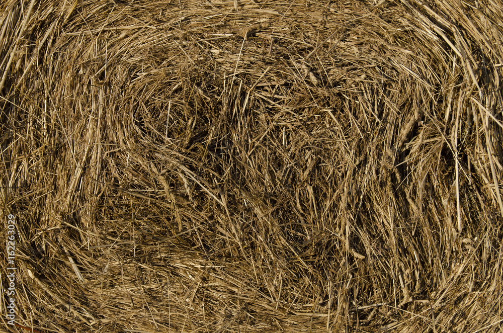 Straw round bale background texture Straw round bale background texture