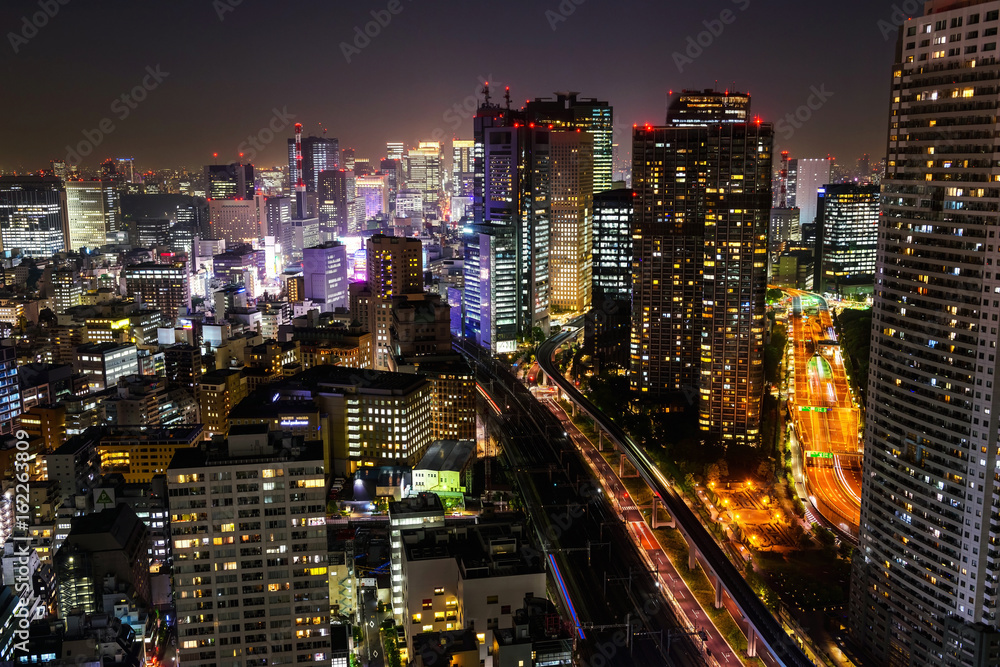 Tokyo skyline cityscape at night
