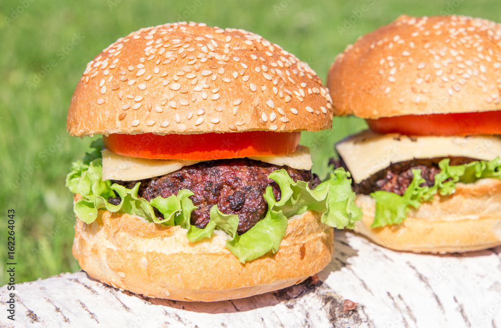 Beef burger with cheese and vegetables on grass Beef burger with cheese and vegetables on grass