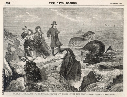 Slika na platnu Irish sea serpent off Kilkee  Ireland. Date: 1871