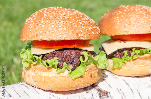 Beef burger with cheese and vegetables on grass