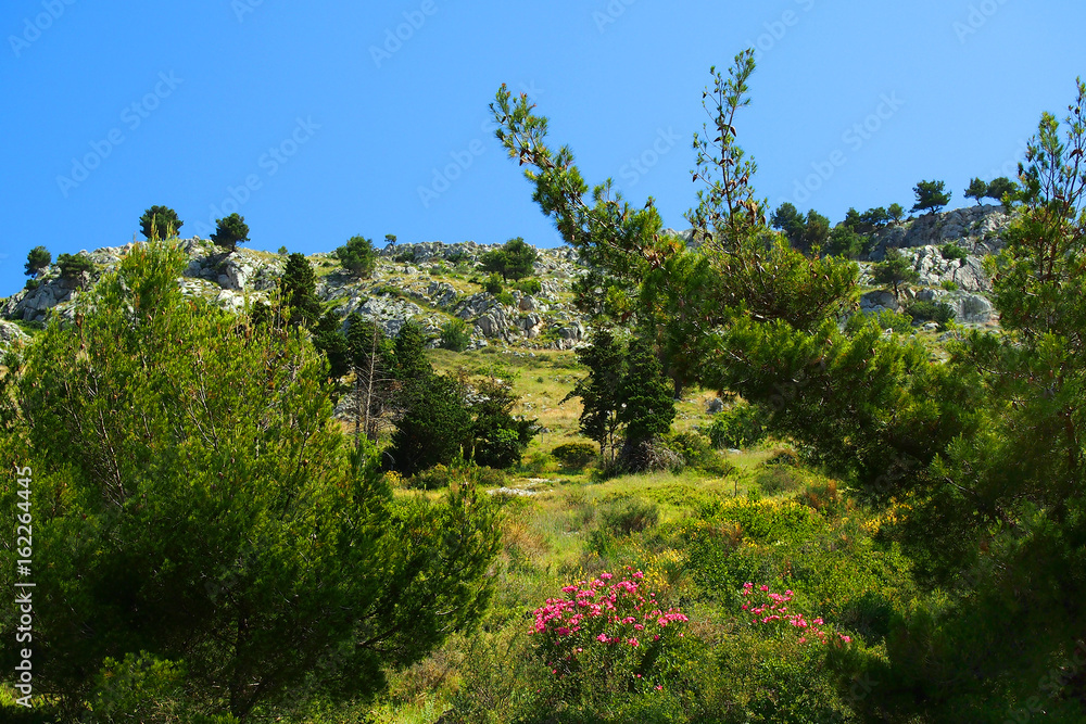 Fototapeta premium Dalmatic Coast in Croatia, Europe