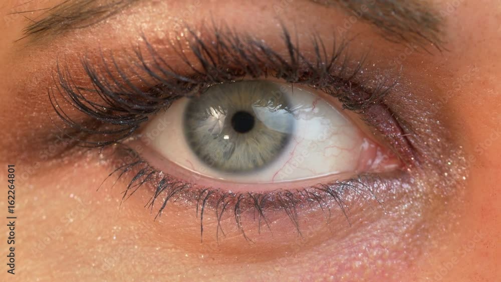 High quality video of human eye With eyeshadow in 4K High quality video of human eye With eyeshadow in 4K