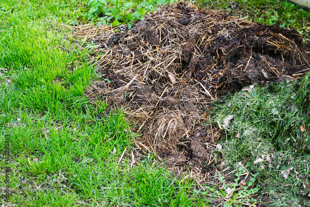Misthaufen frischer Mist lagern und für den Garten zur Düngung nutzen