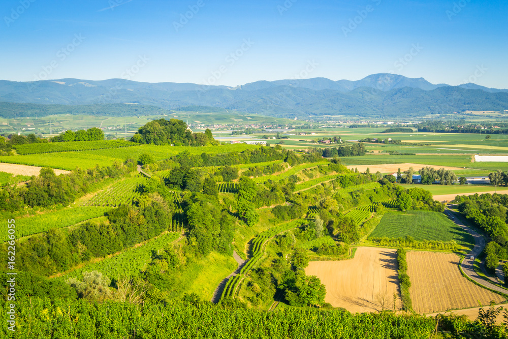 Aussicht vom Tuniberg im Breisgau