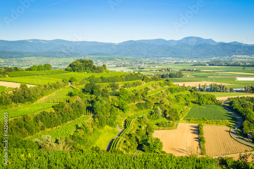 Aussicht vom Tuniberg im Breisgau