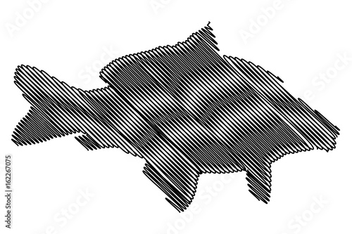 carp silhouette vector, (Cyprinus carpio),