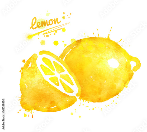 Hand drawn watercolor illustration of lemon