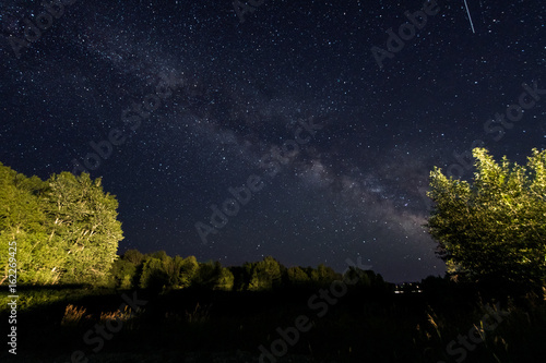 Milky Way with Trees