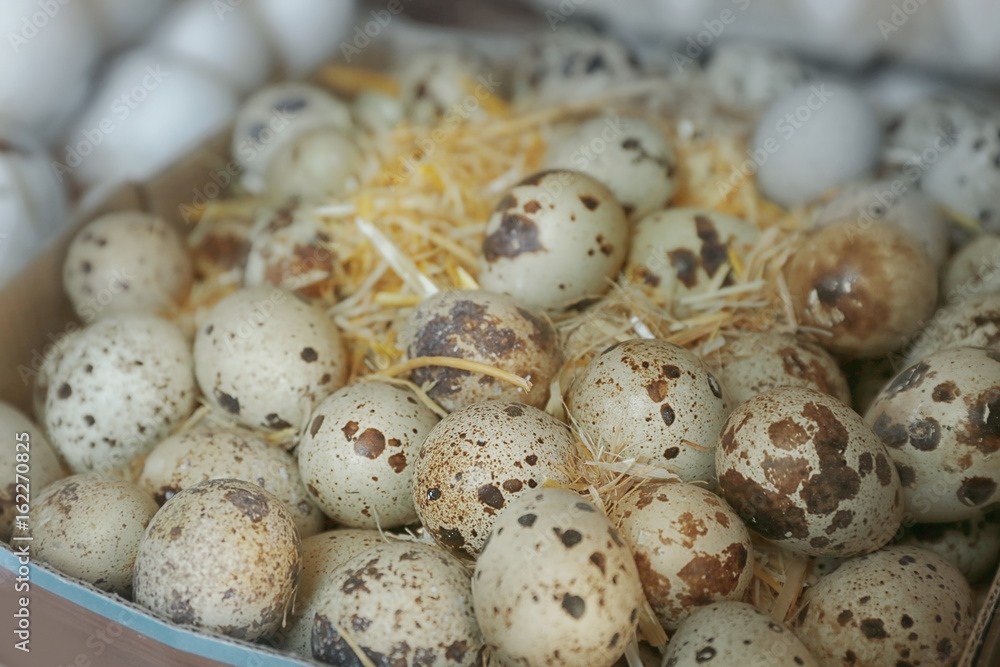 Box with quail eggs, closeup