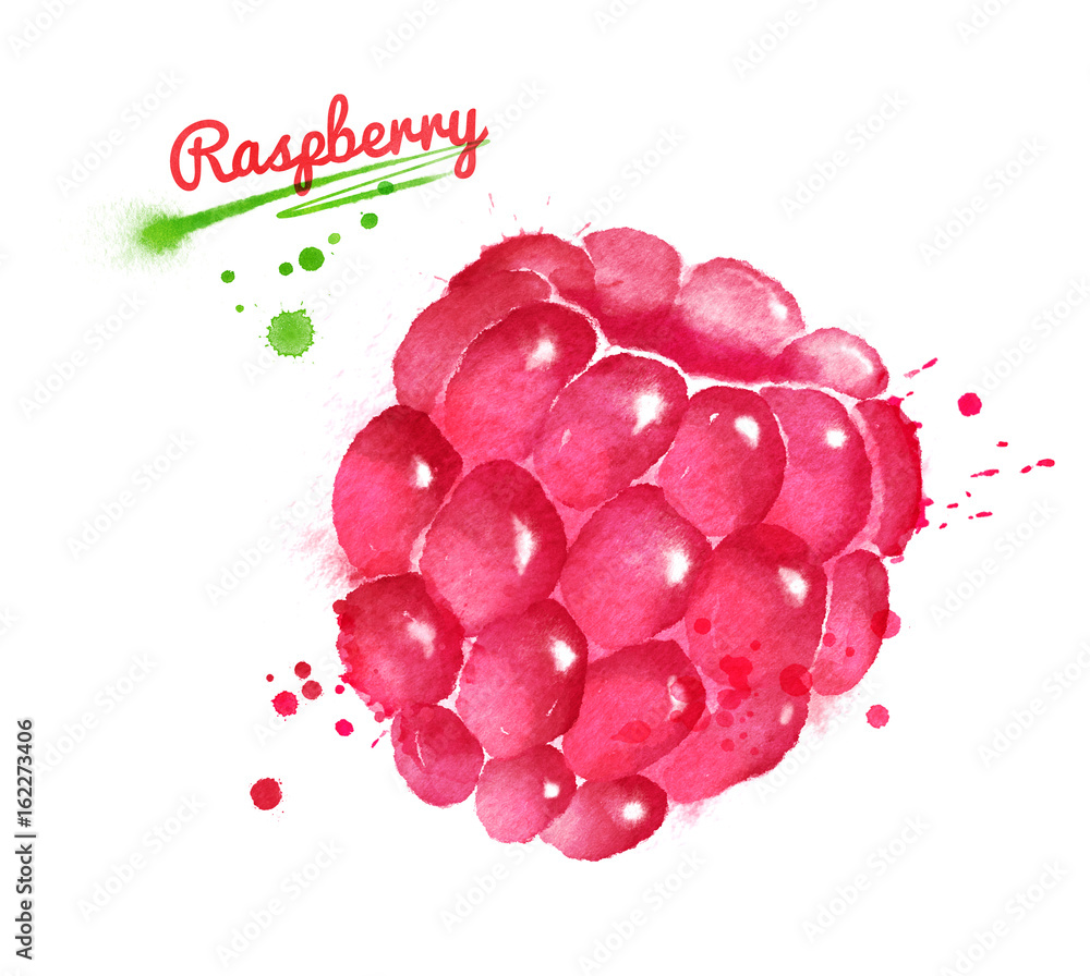 Watercolor illustration of raspberry Stock Photo | Adobe Stock
