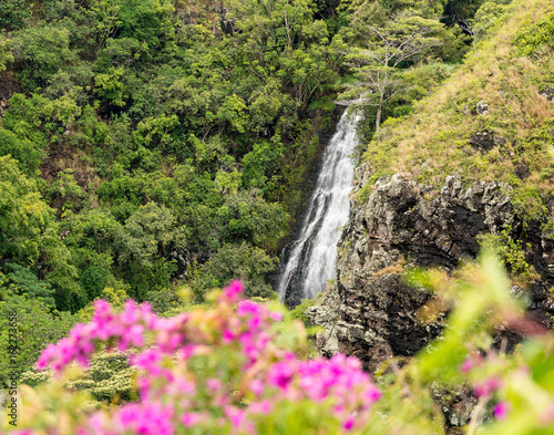 Opaekaa Falls in Hawaiian island of Kauai