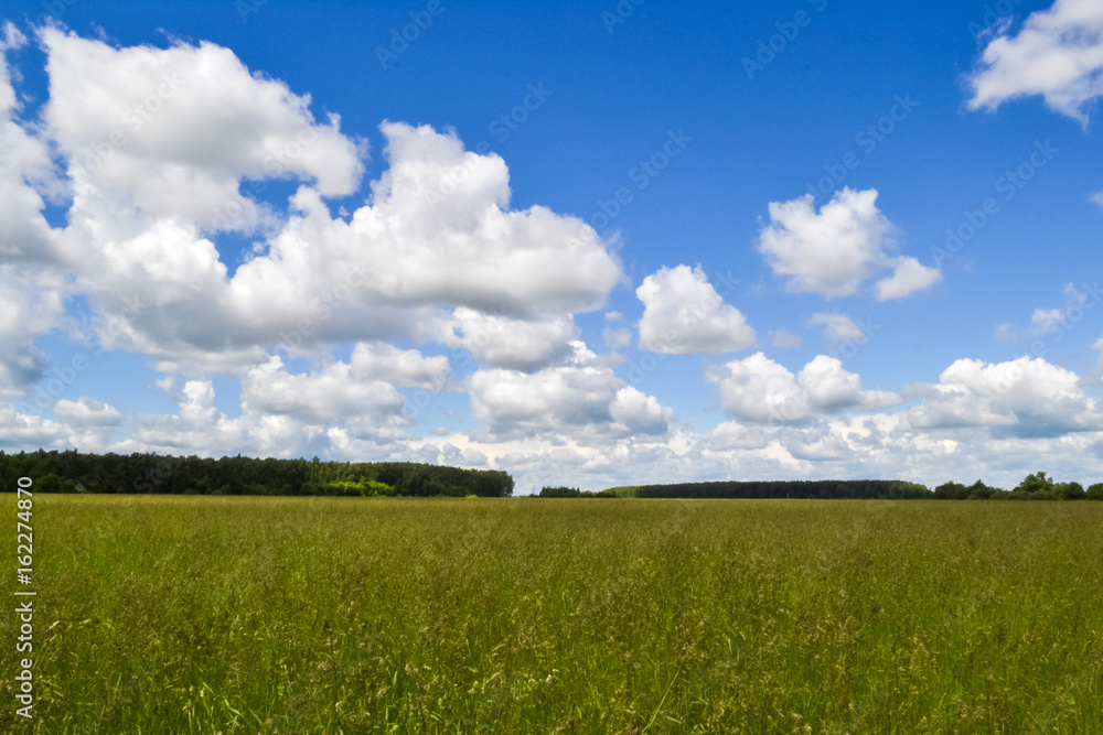 Green field and sky with clouds. Summer trip in nature Green field and sky with clouds. Summer trip in nature