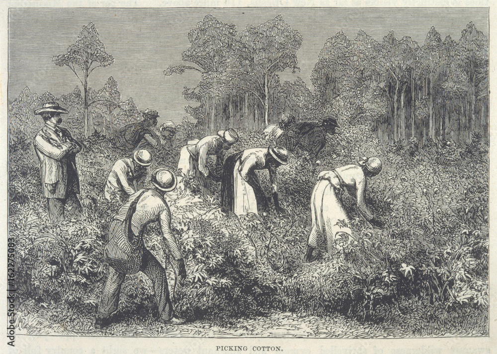 Industry - Textiles - Cotton. Date: 1875 - obrazy, fototapety, plakaty 