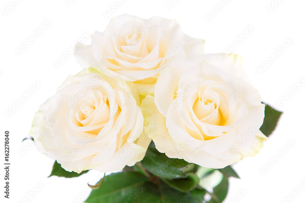 bouquet of flowers on white background isolated bouquet of flowers on white background isolated