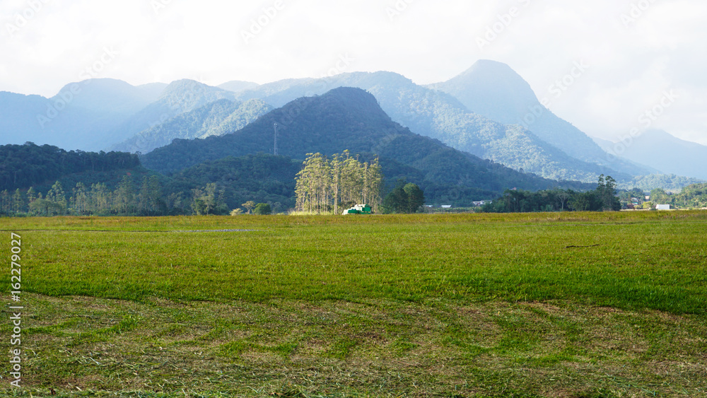 Fototapeta premium Green grass and mountains landscape