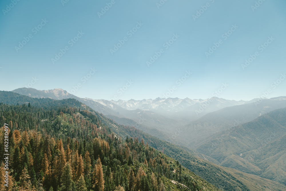 Sequoia National Park 4 Sequoia National Park 4