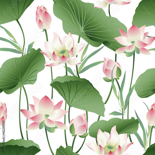 Fototapeta Naklejka Na Ścianę i Meble -  Vector botanical seamless pattern with pink lotus flowers. Background design print.