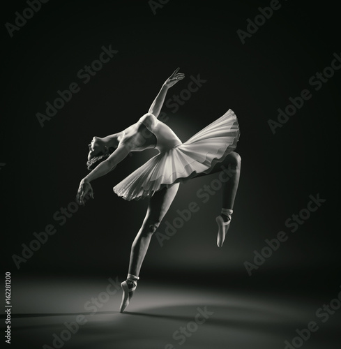 Fotografie, Obraz Beautiful ballerina