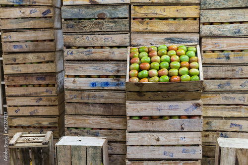 green tomatos sales in bulk, wood cases