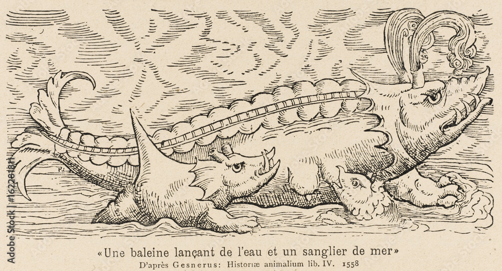 Fototapeta premium Spouting Whale-Fish. Date: 1558