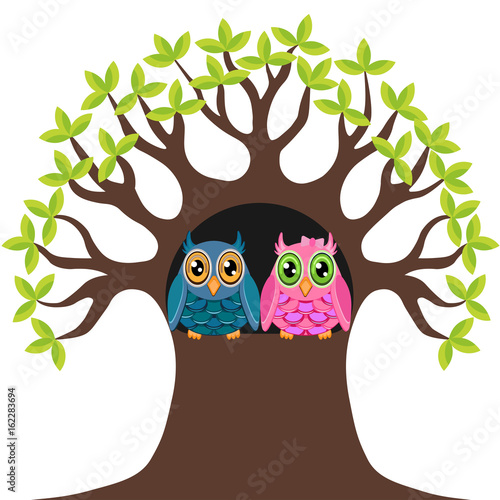 Two owl in the tree hollow