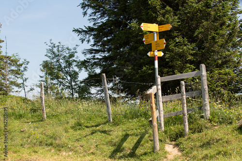 Wanderweg zum Gnipen, Nordflanke Rossberg, Sommer photo