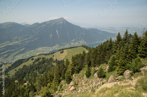 Bergsturzstelle, Rossberg, Schweiz photo