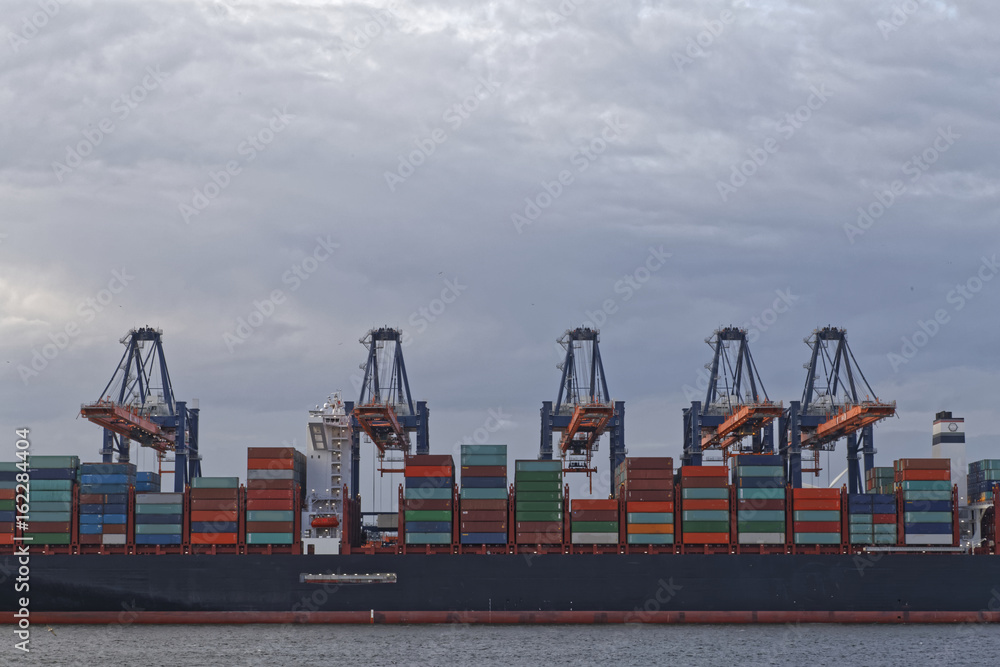 Fototapeta premium container harbour
