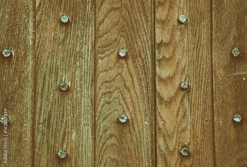 Oak panel door with iron studs Oak panel door with iron studs