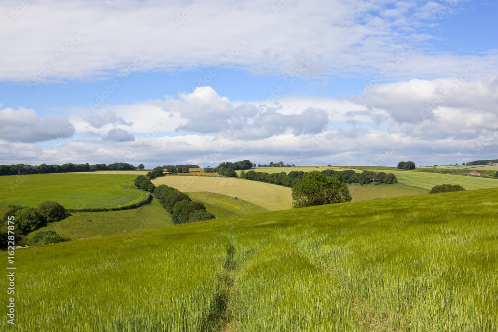 wolds barley