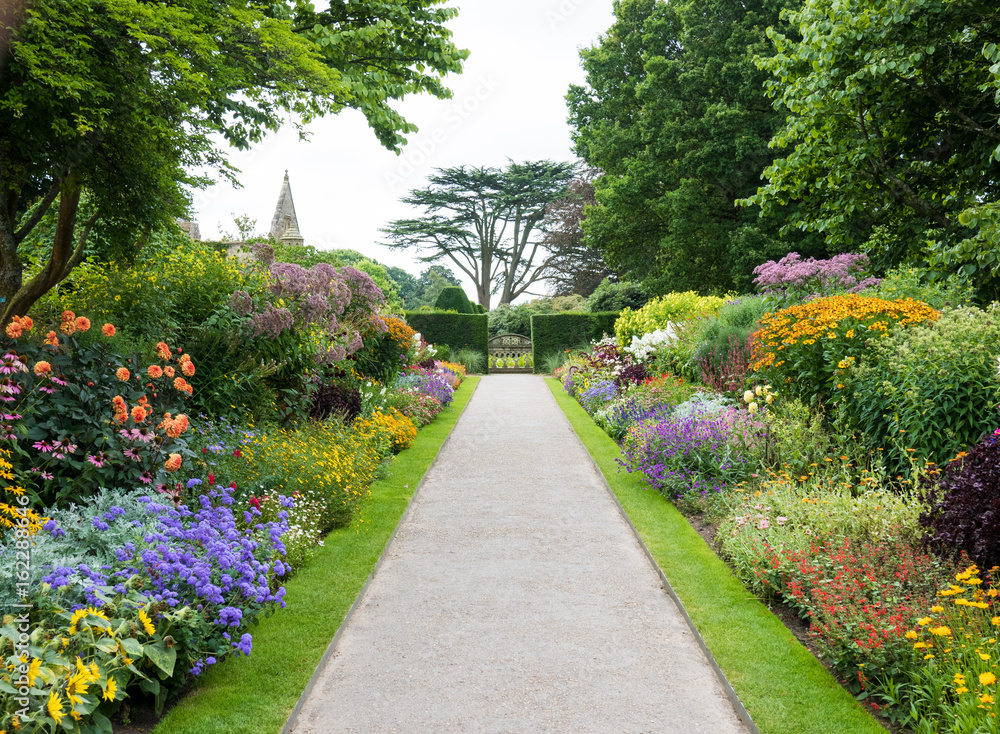 Obraz premium Path and flowers