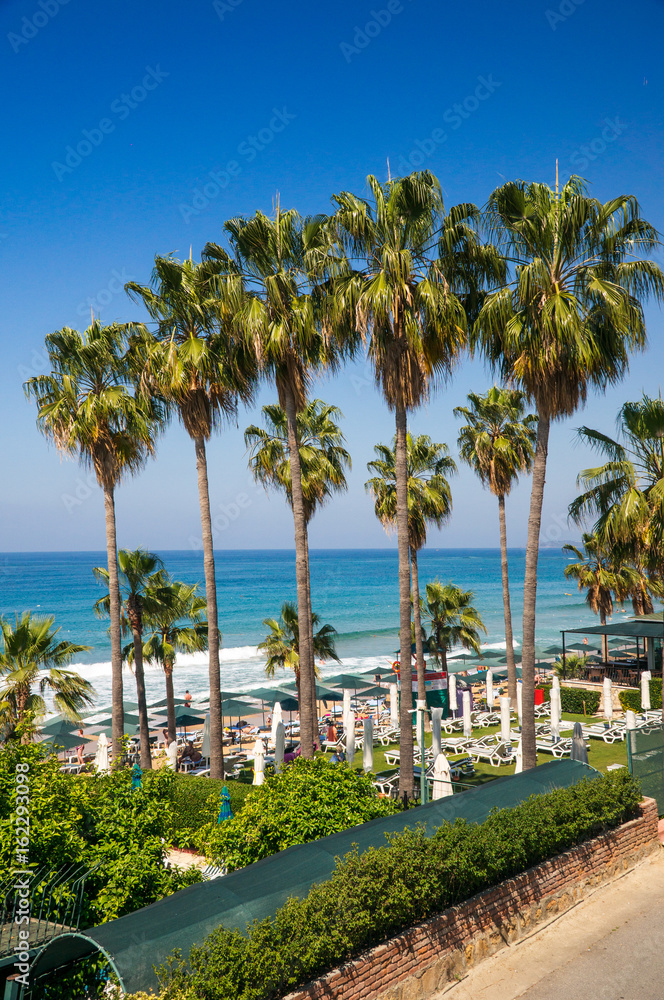 Scenic view of the sea coast of the turquoise Mediterranean Sea. Green palm trees against a clear blue sky.