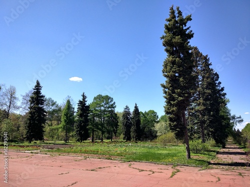 Photography Nature in Moscow region, 2017