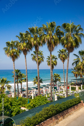 Scenic view of the sea coast of the turquoise Mediterranean Sea. Green palm trees against a clear blue sky.
