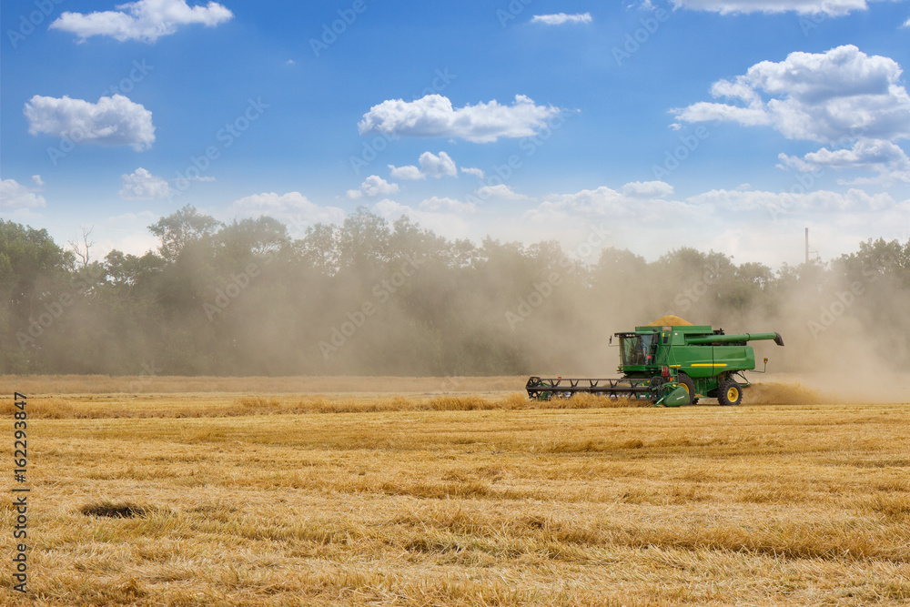 Obraz premium Harvester removes wheat