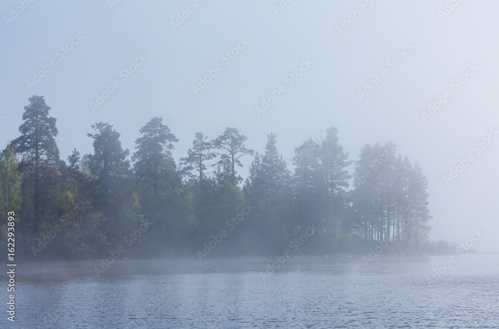 Fog and trees on the shore of Lake Ladoga