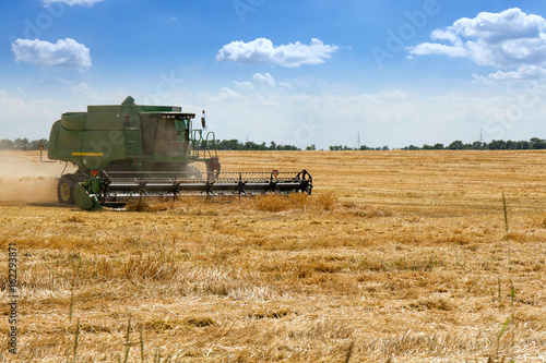 Harvester removes wheat